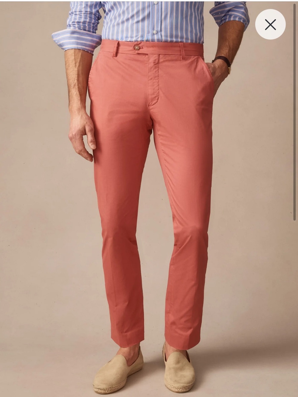 NWT J. McLaughlin 100% Cotton Chino Pants Sz 31